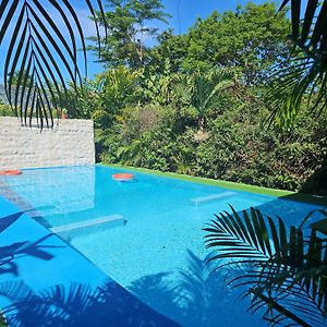 Ballena Rey Hotel